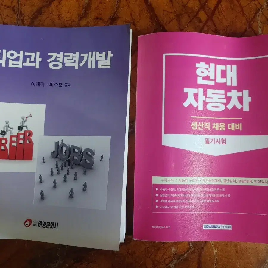 현대자동차 필기시험, 직업과 경력개발