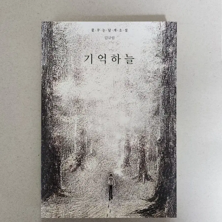 책 <기억하늘>