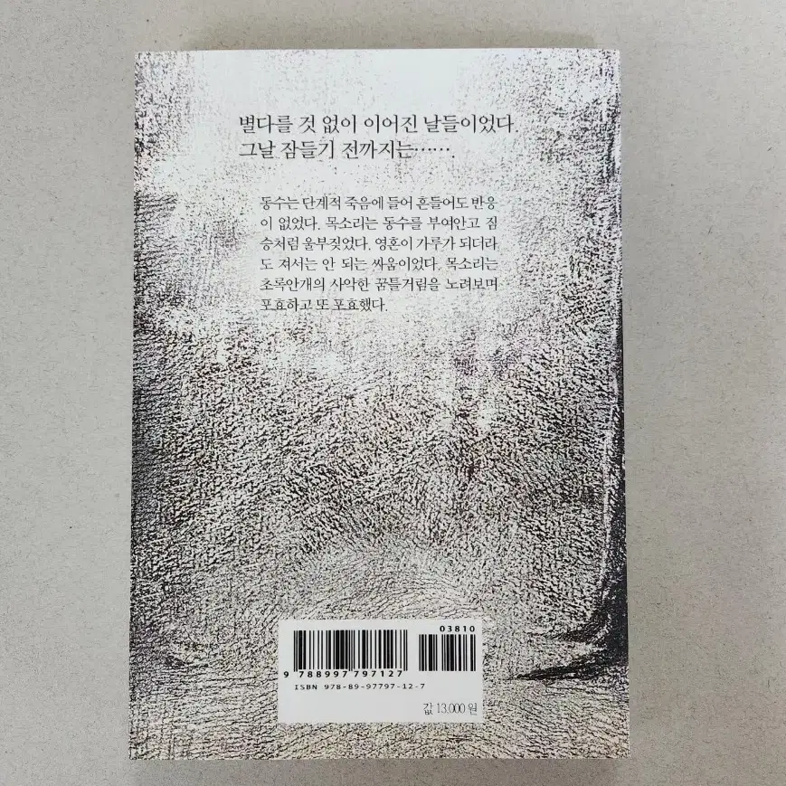 책 <기억하늘>