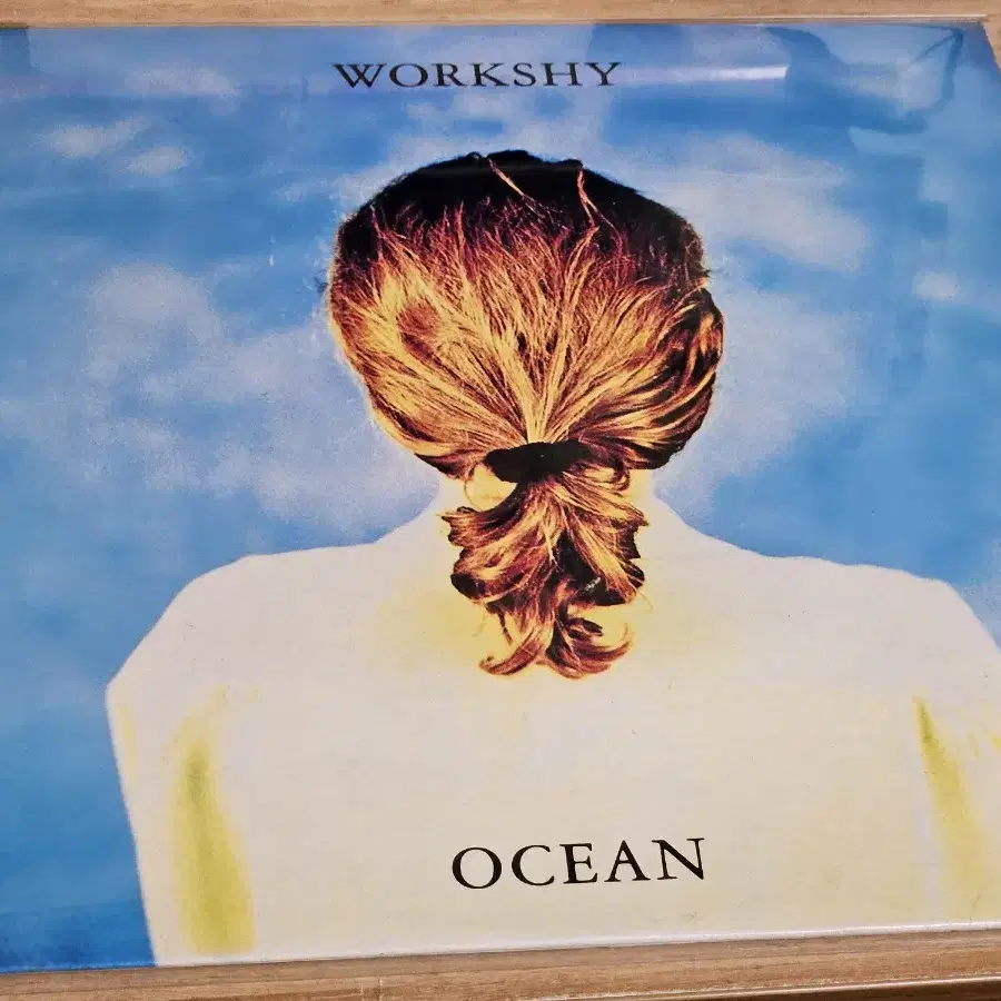 Ocean - Workshy (LP)