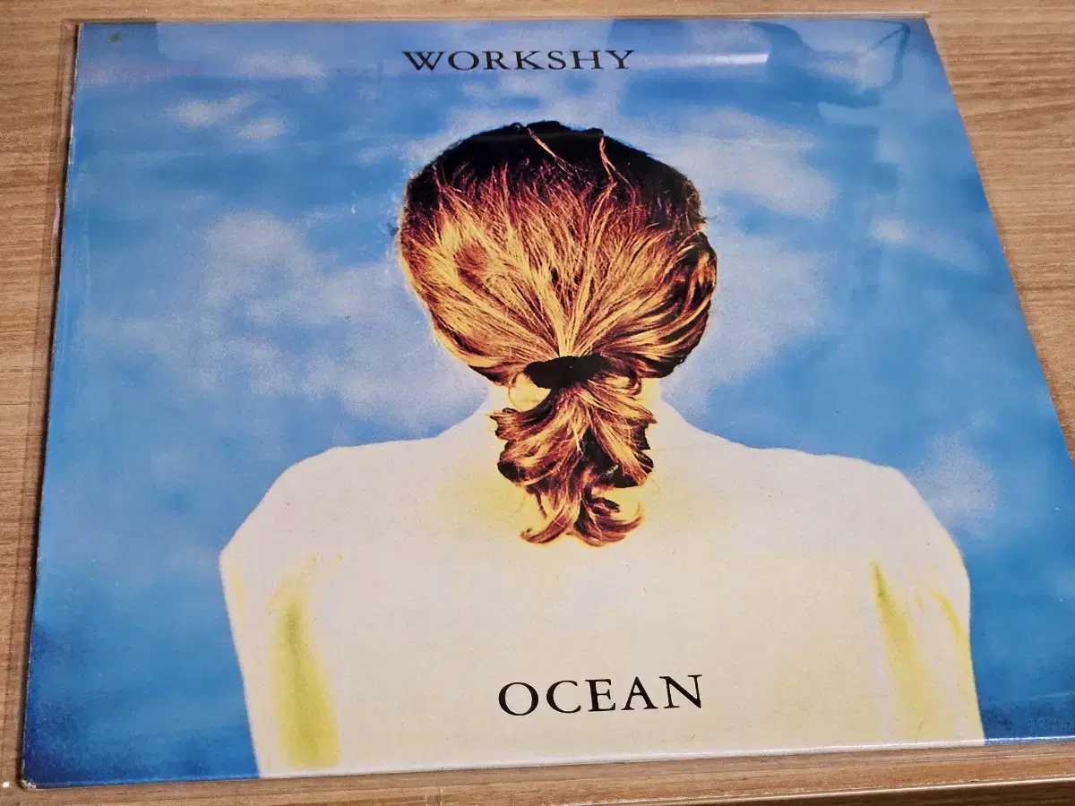 Ocean - Workshy (LP)