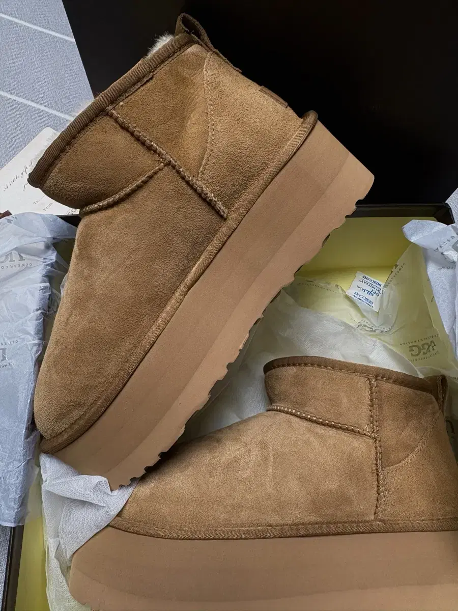 UGG 울트라 5cm 채스토넛 색상