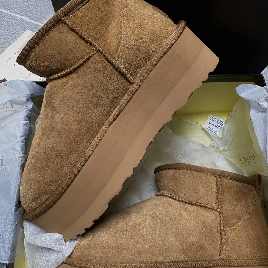 UGG 울트라 5cm 채스토넛 색상