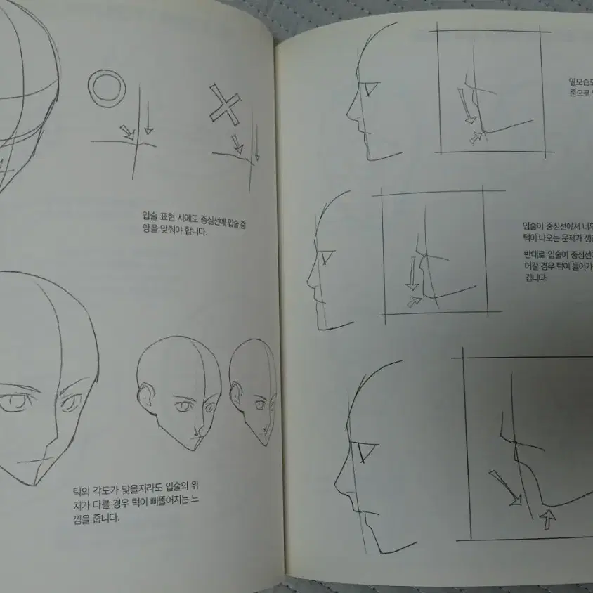 시크릿 캐릭터 드로잉 / 타코