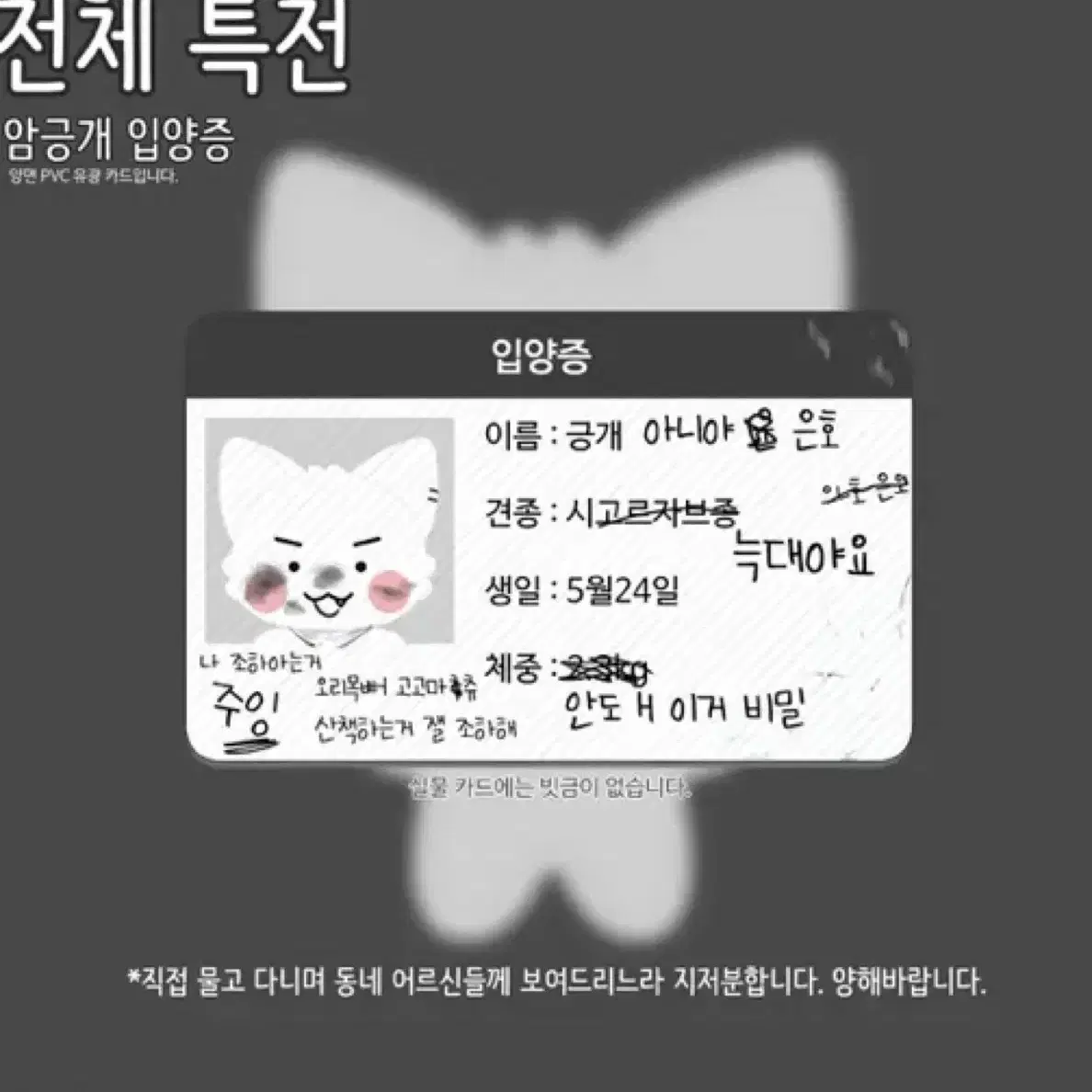 플레이브 도은호 암긍개 양도