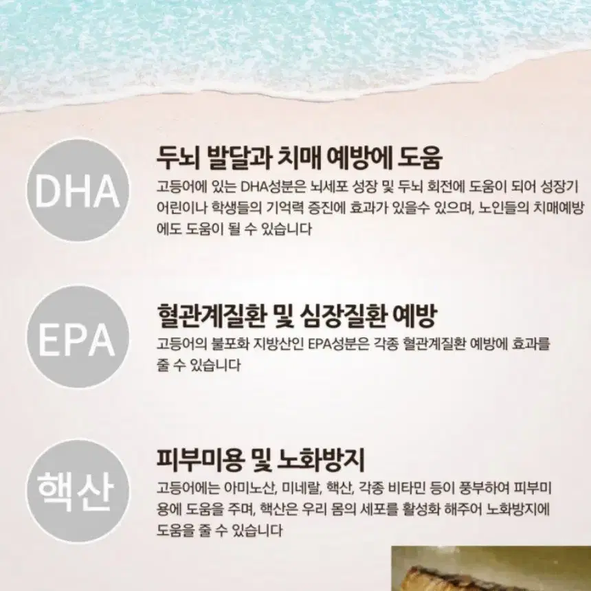 제주직송.추동간고등어 특대사이즈3키로(16팩)