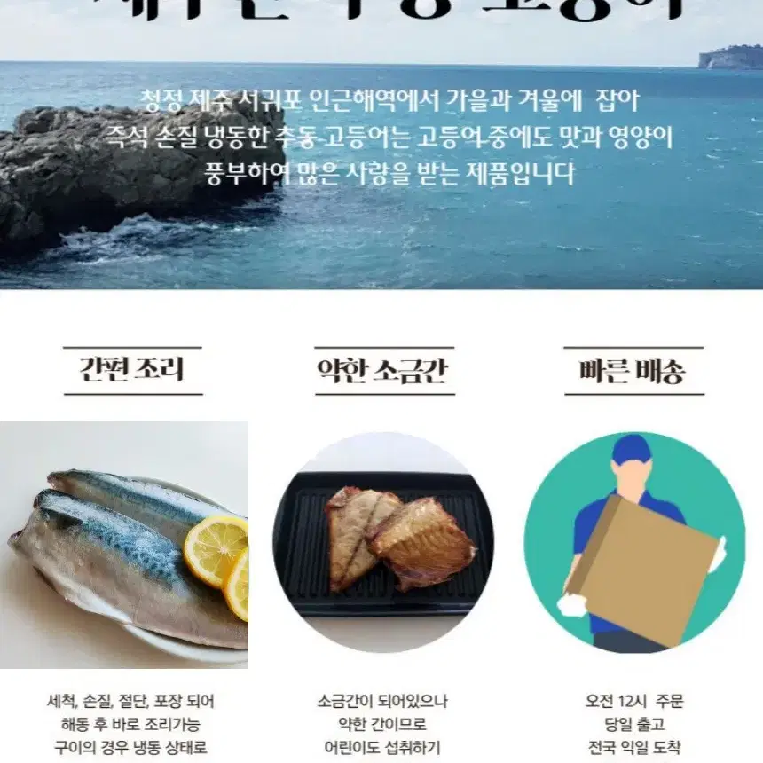 제주직송.추동간고등어 특대사이즈3키로(16팩)