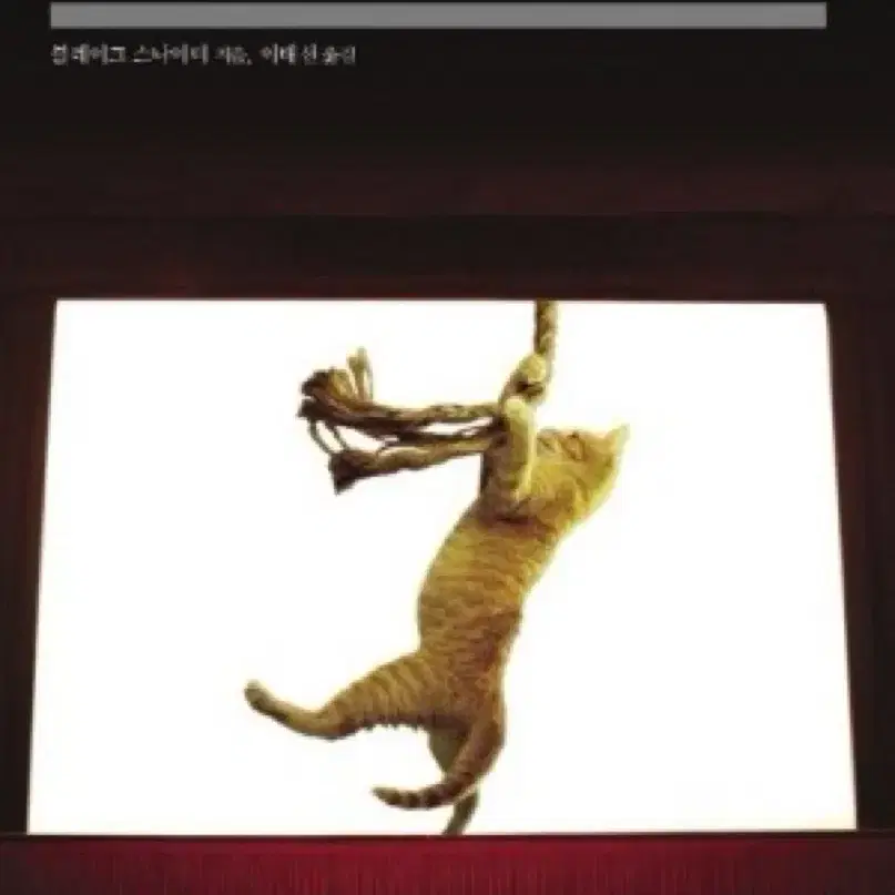 SAVE THE CAT! 모든 영화 시나리오에 숨겨진 비밀/ 상태 최상