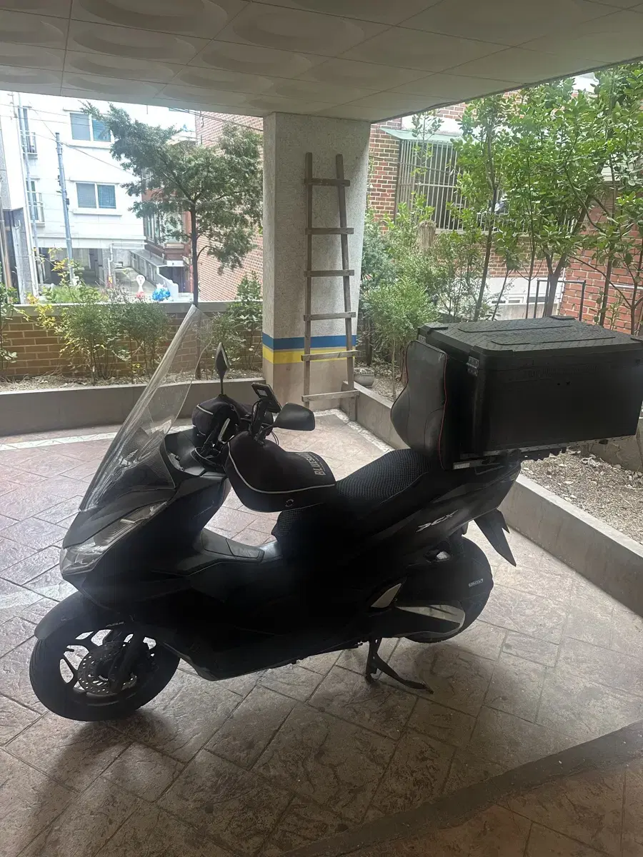 pcx125 23년식 팝니다