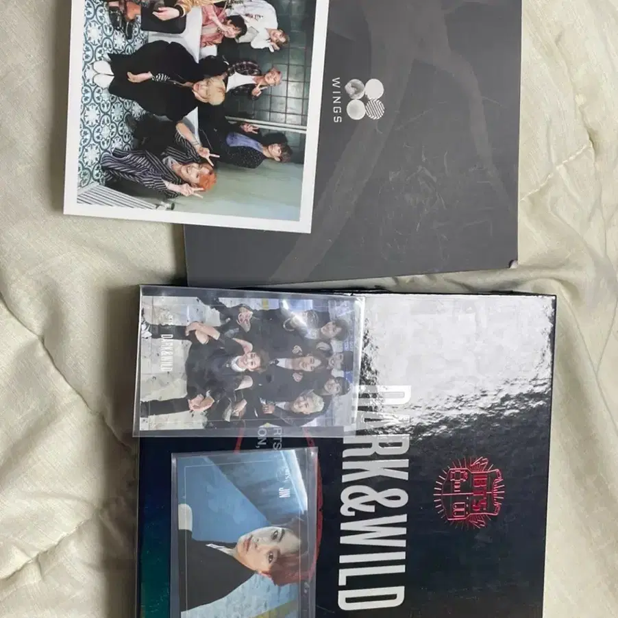 방탄소년단 Wings, Dark&Wild 앨범