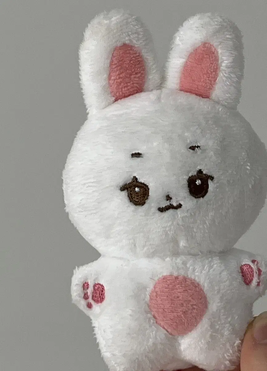 ZB1 han yujin doll Han Rabbit