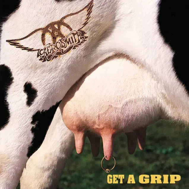 Aerosmith - Get A Grip (CD) 유럽반 1993 NM-