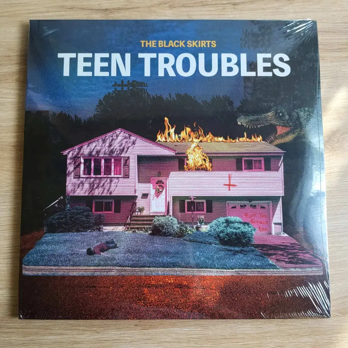 black skirts 검정치마 TEEN TROUBLES 미개봉 LP