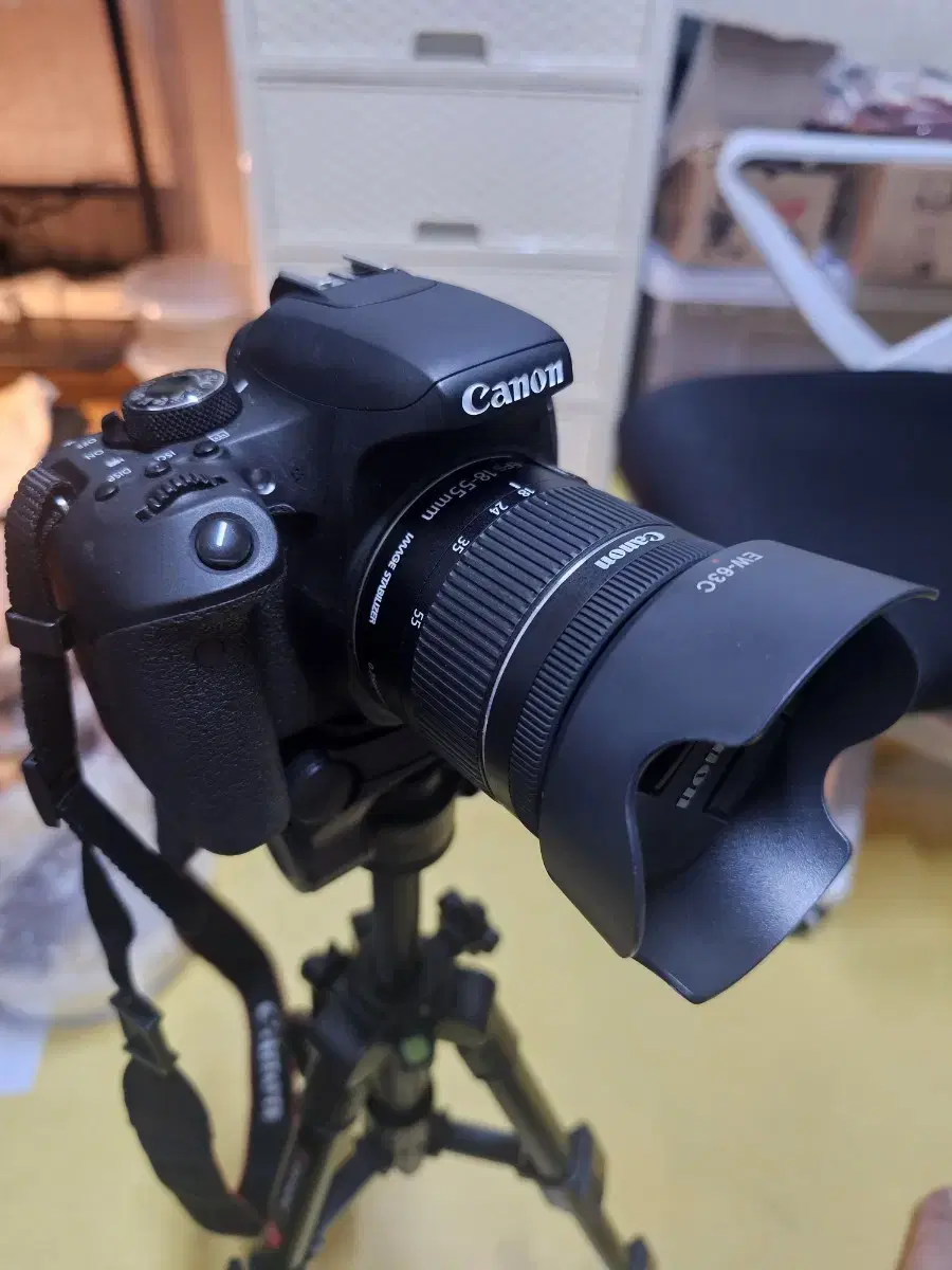 canon eos 800d 팝니다