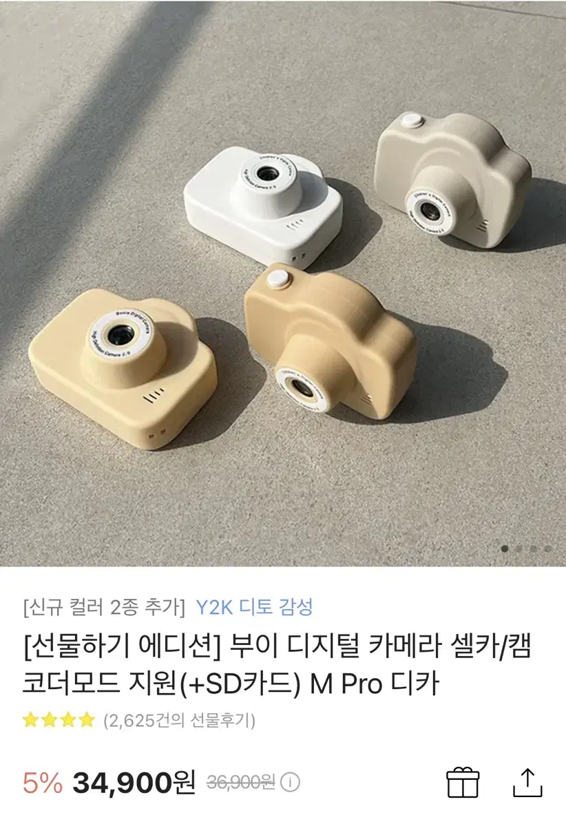 부이 디지털 카메라 그레이