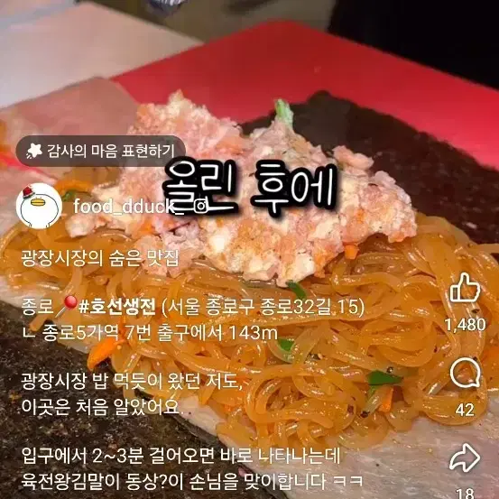 정품) K2 코볼트 800필 프리미엄 대장패딩 헝가리구스&프리마로프트소재