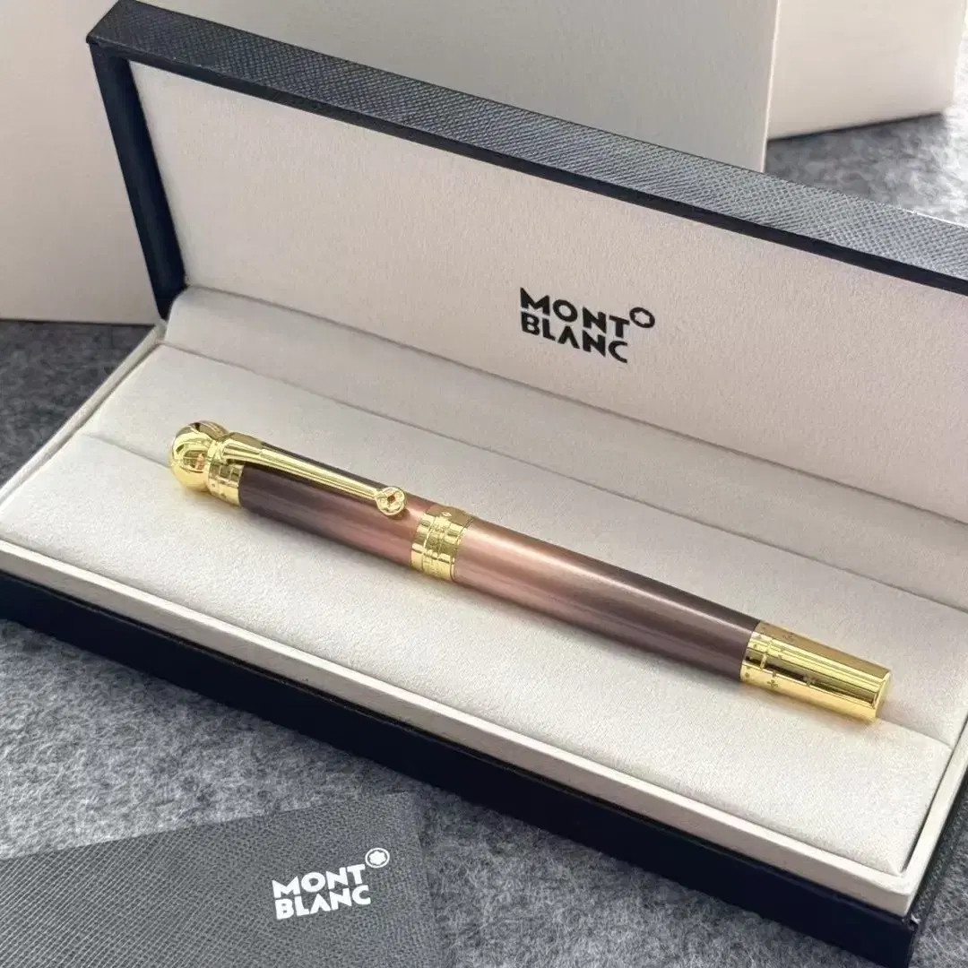 몽블랑 MONT BLANC  만년필 사인펜