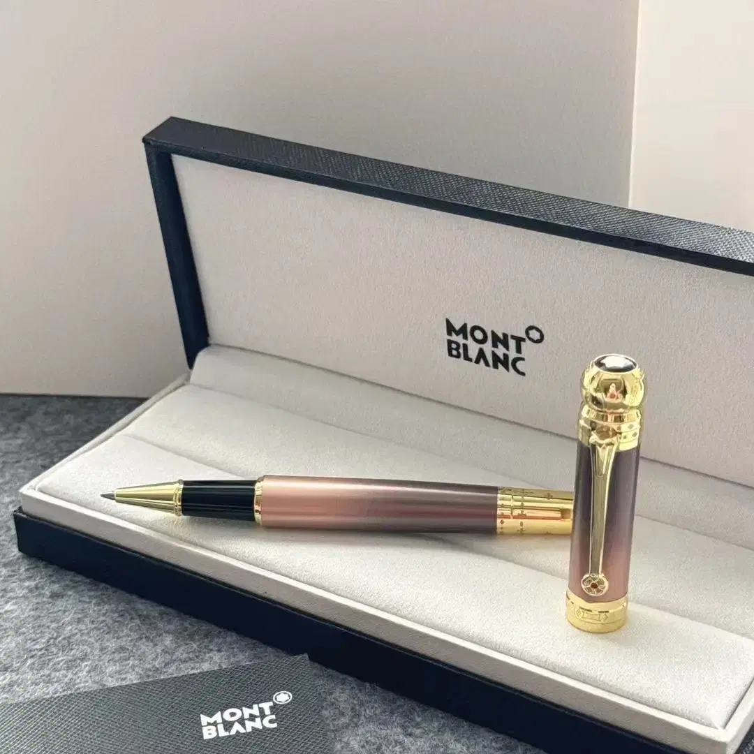 몽블랑 MONT BLANC  만년필 사인펜