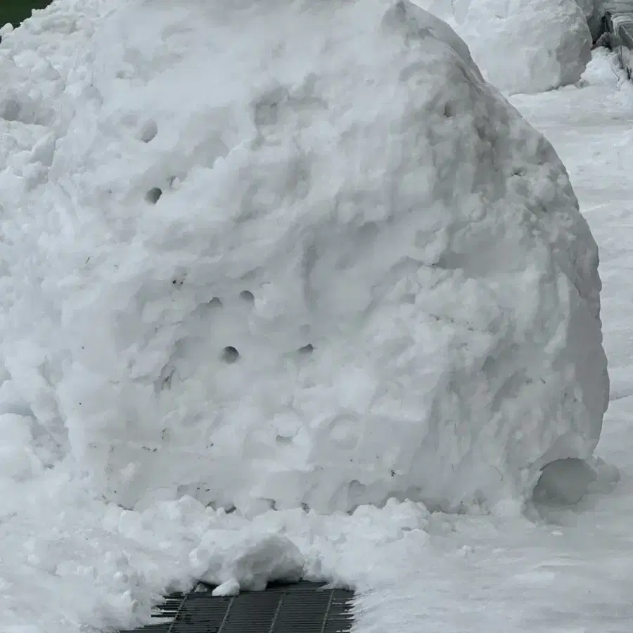 픽시 구해요