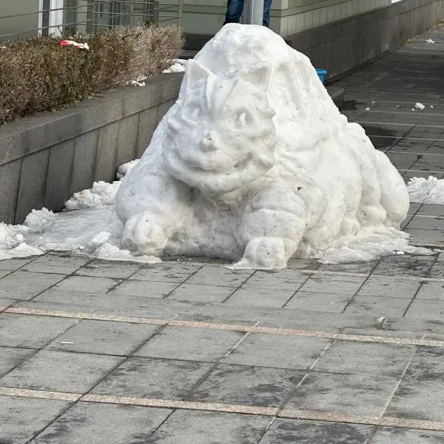 픽시 구해요