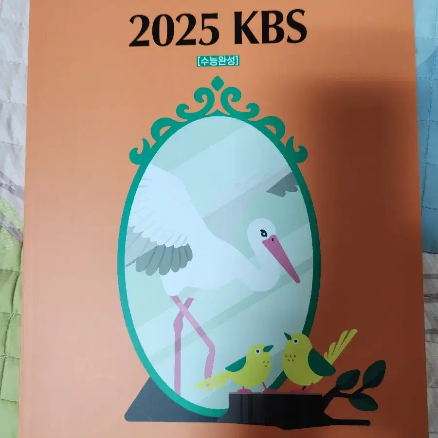 2025 김승리 KBS 수완