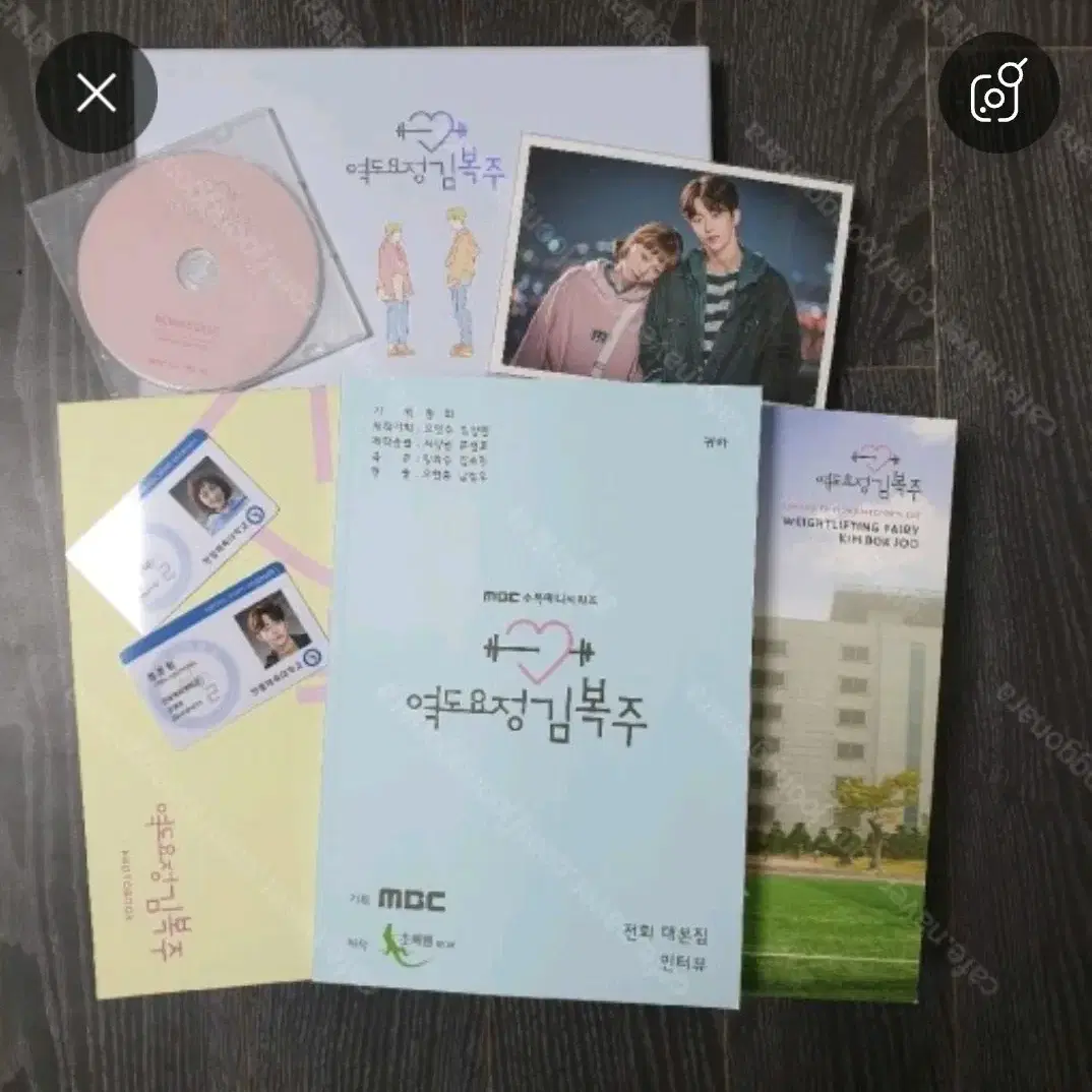 [구함]남주혁 이성경 역도요정김복주 감독판 dvd