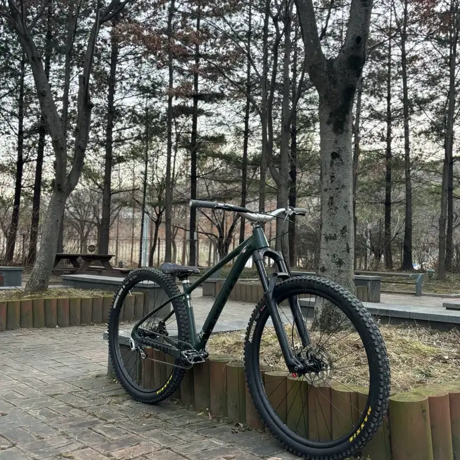 자이언트 패덤 mtb