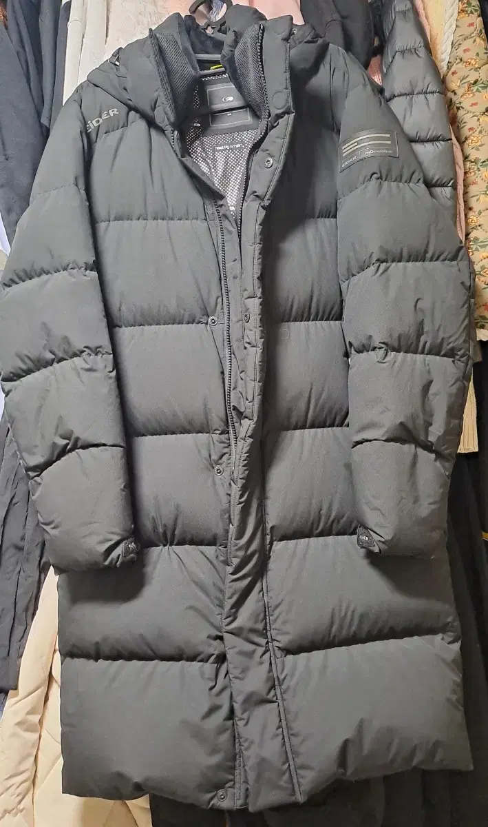 Eider Sterols A Goose Long Down Jacket