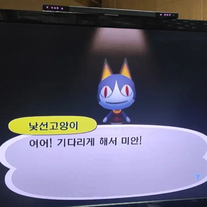 닌텐도 wii 동물의숲