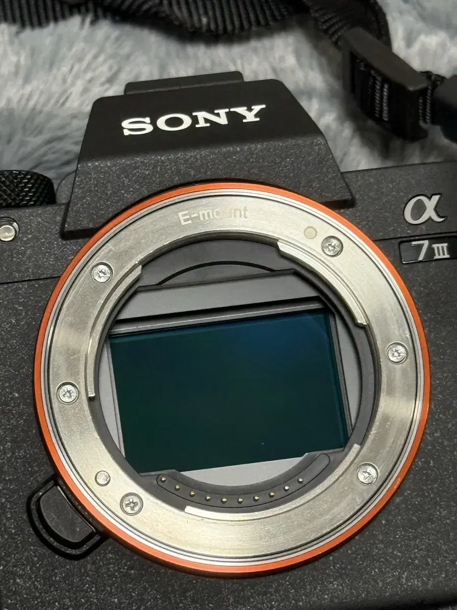 소니 a7m3 (컷수 2369) sony ilce-7m3 / 직거래만가능