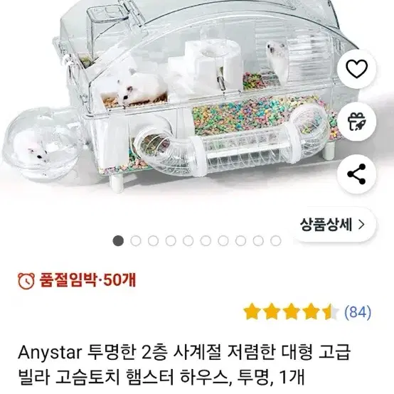 햄스터 집