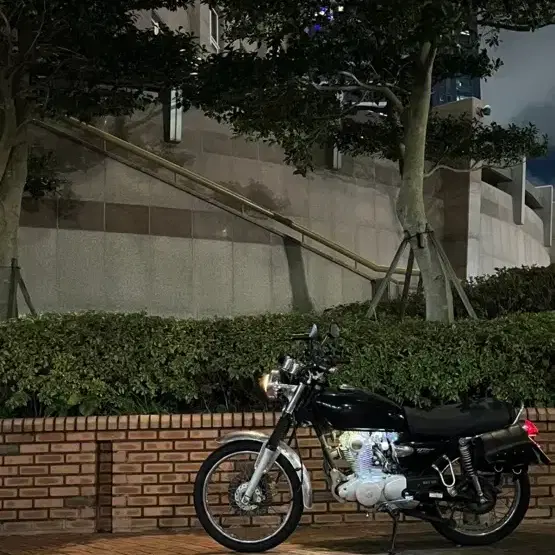 울프 125