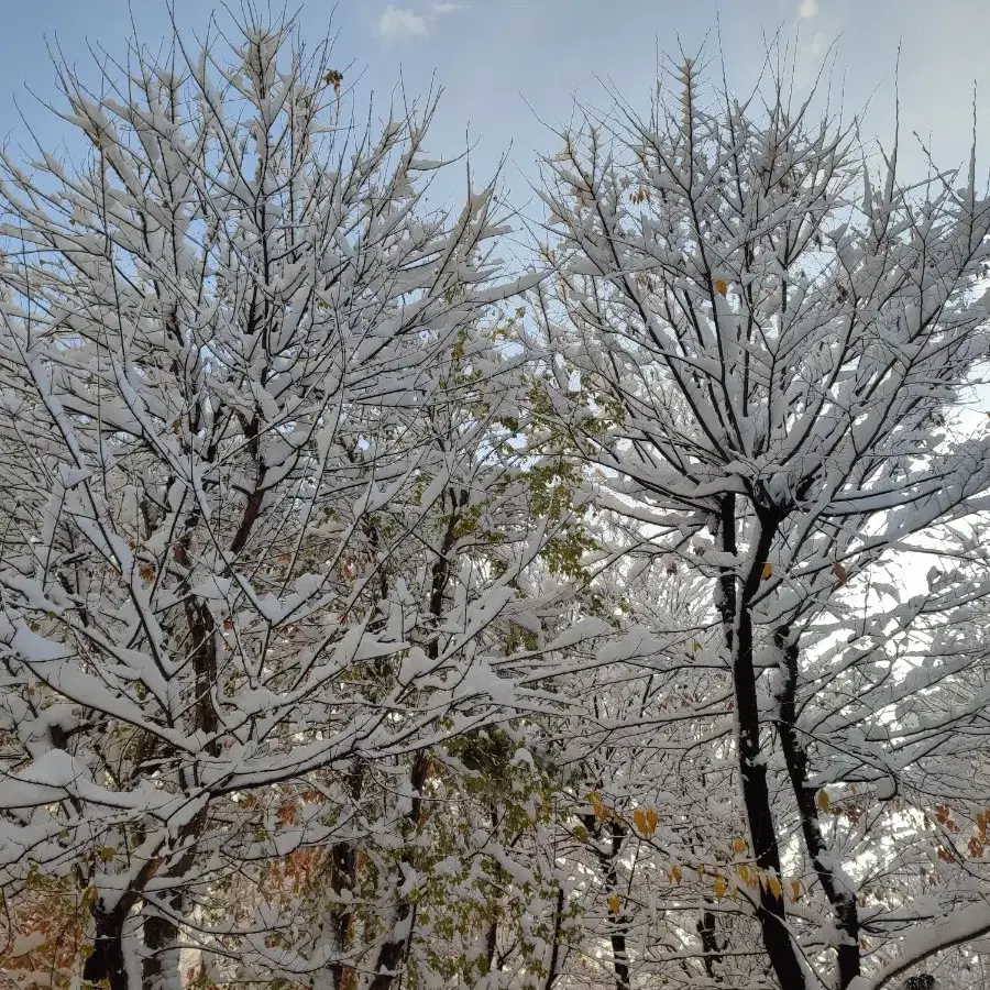 [탁상달력]하나은행,농협,우체국,저축은행