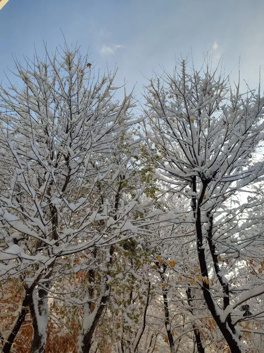 [탁상달력]하나은행,농협,우체국,저축은행