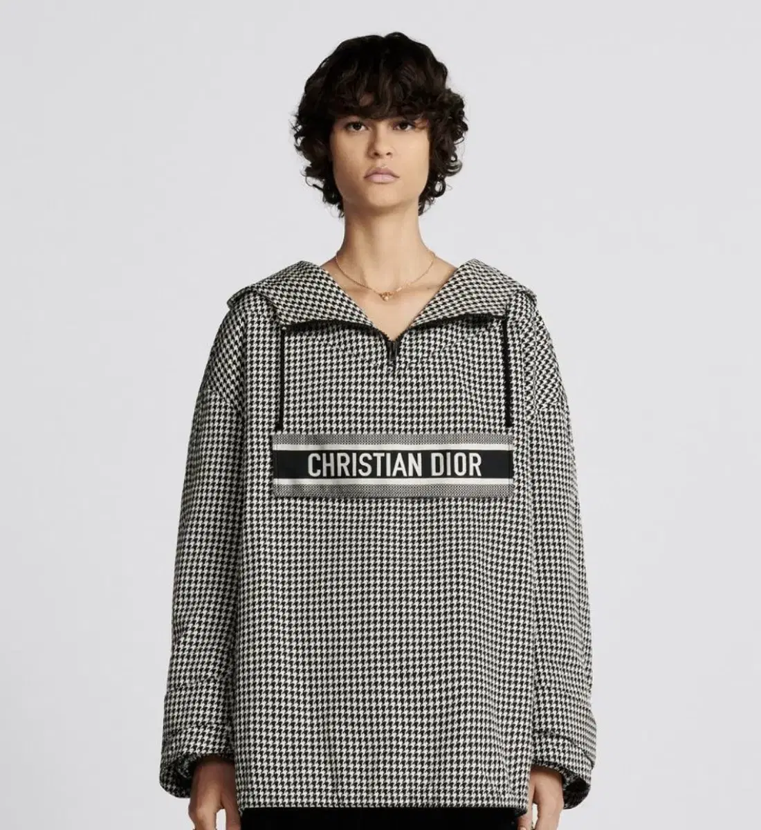 Dior Hooded Hound Anorak