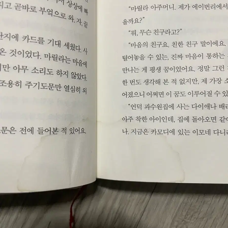 빨강머리앤