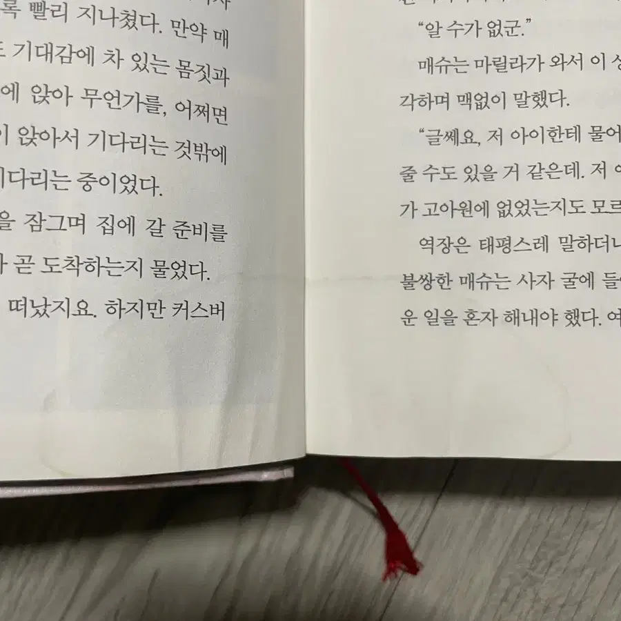 빨강머리앤