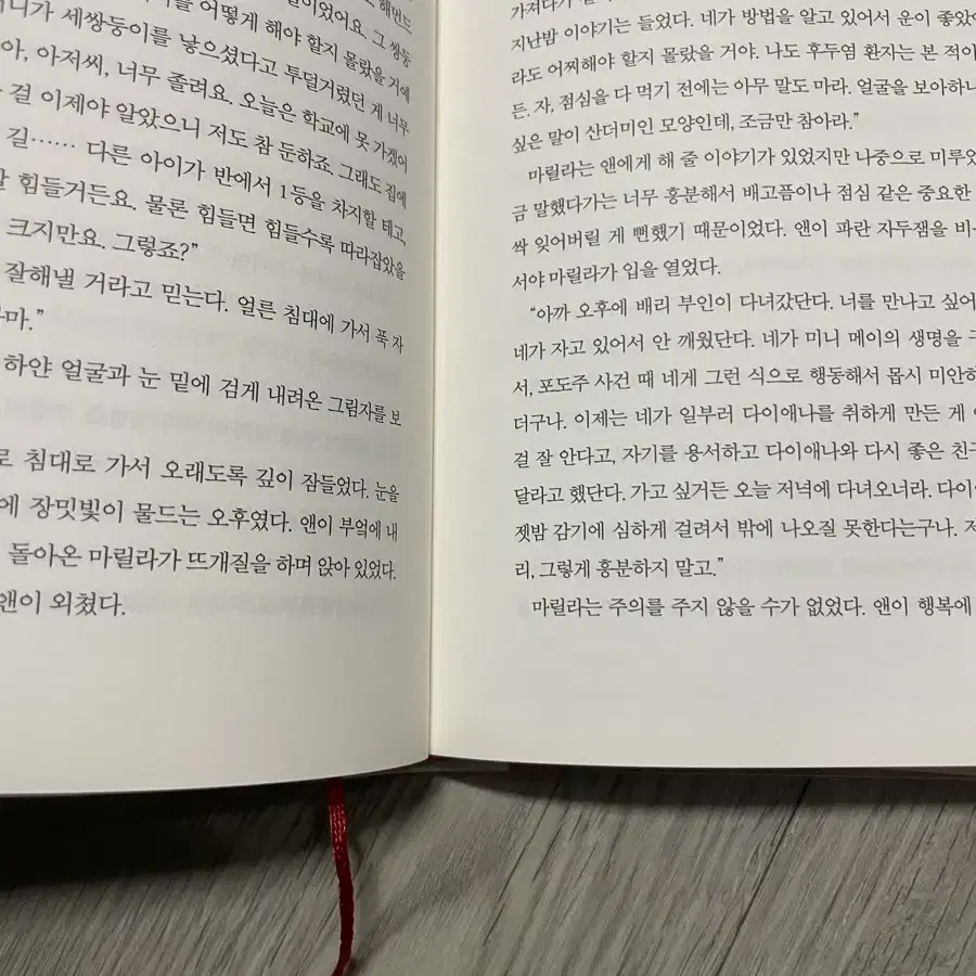 빨강머리앤