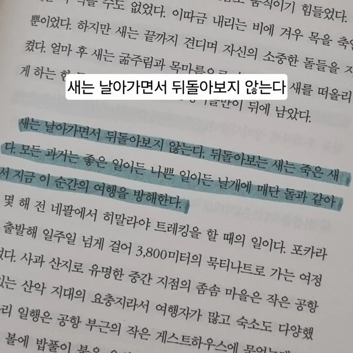 책 새는 날아가면서 뒤돌아보지 않는다, 나도 아직 나를 모른다, 정체