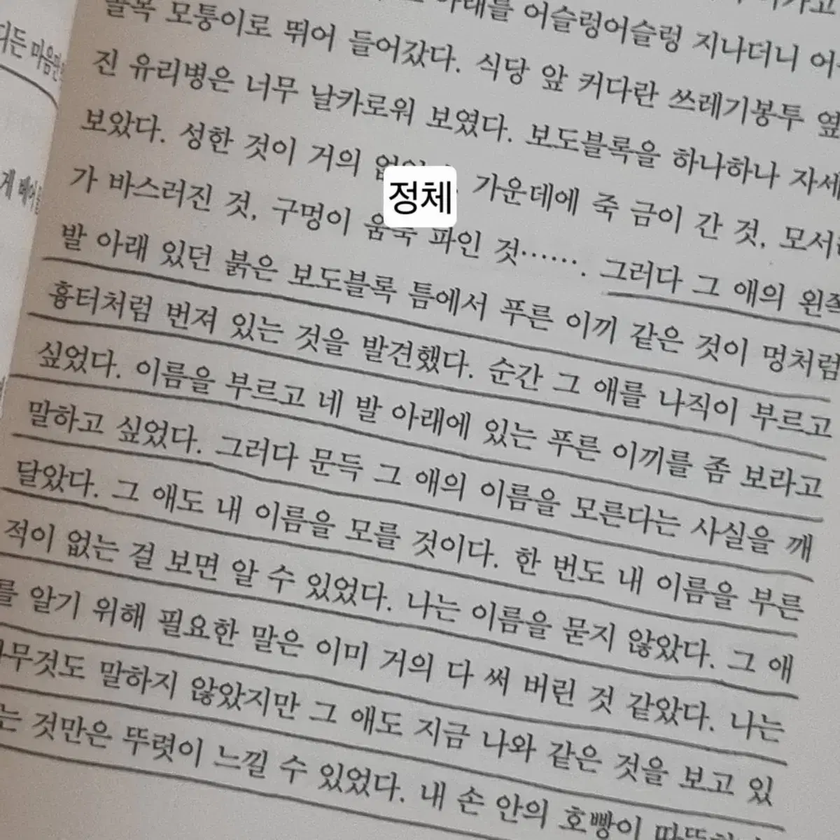 책 새는 날아가면서 뒤돌아보지 않는다, 나도 아직 나를 모른다, 정체