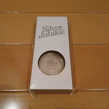 [미개봉 새상품]메달키링 BUMPOFCHICKEN 범프치킨 범프오브치킨