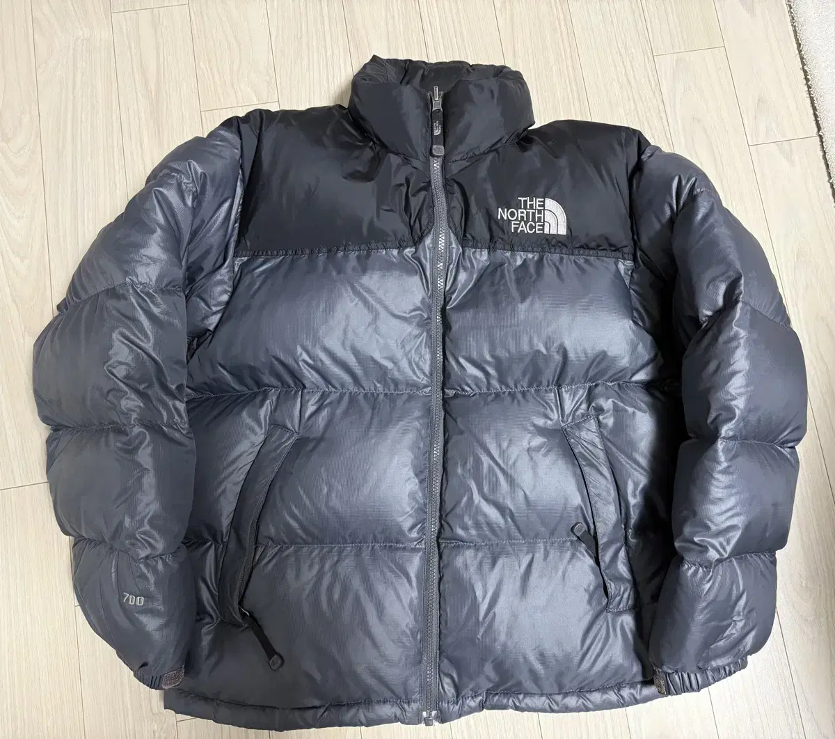 The North Face 700 Nopsi Gray Gray Gumshoe 95