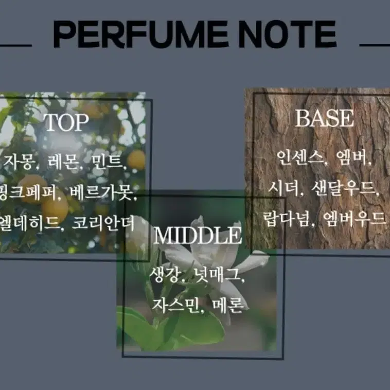 드블루 샤넬 EDP 100ml