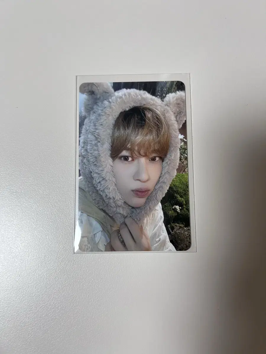 NCT Wish sion Japan Membership photocard WTS