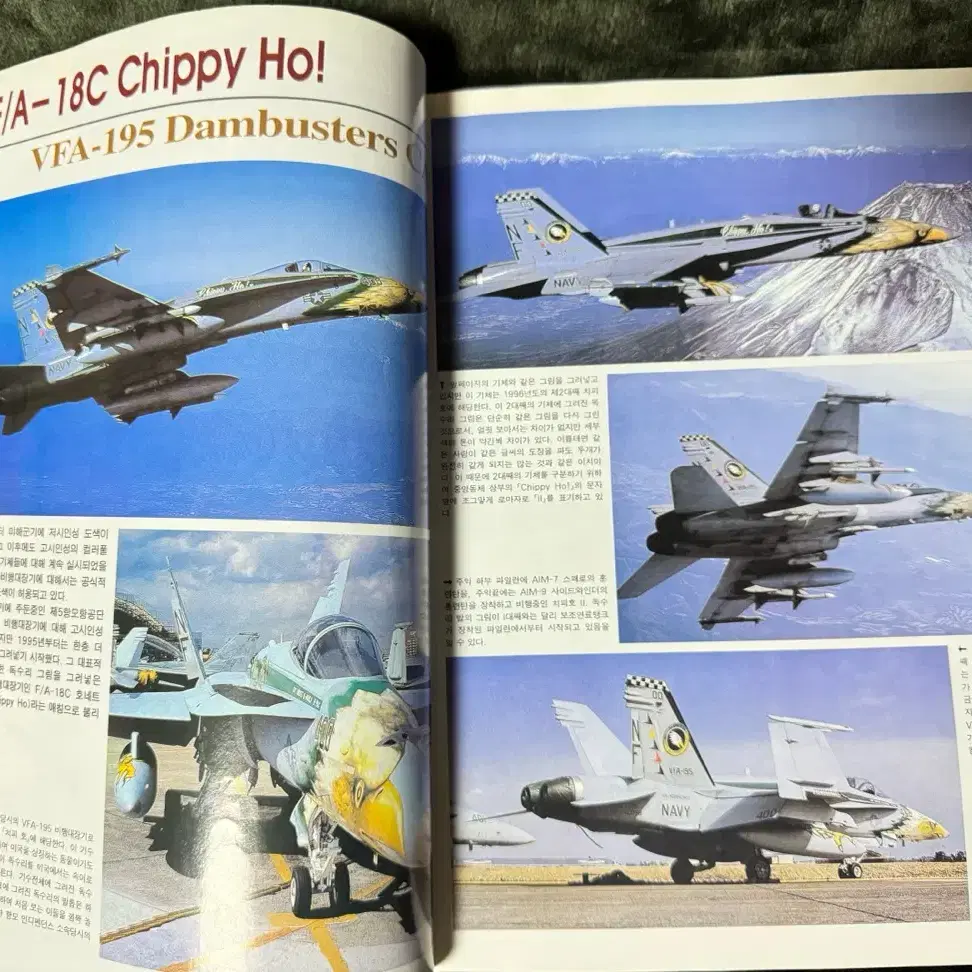 F-14톰캣 & F/A-18 호네트