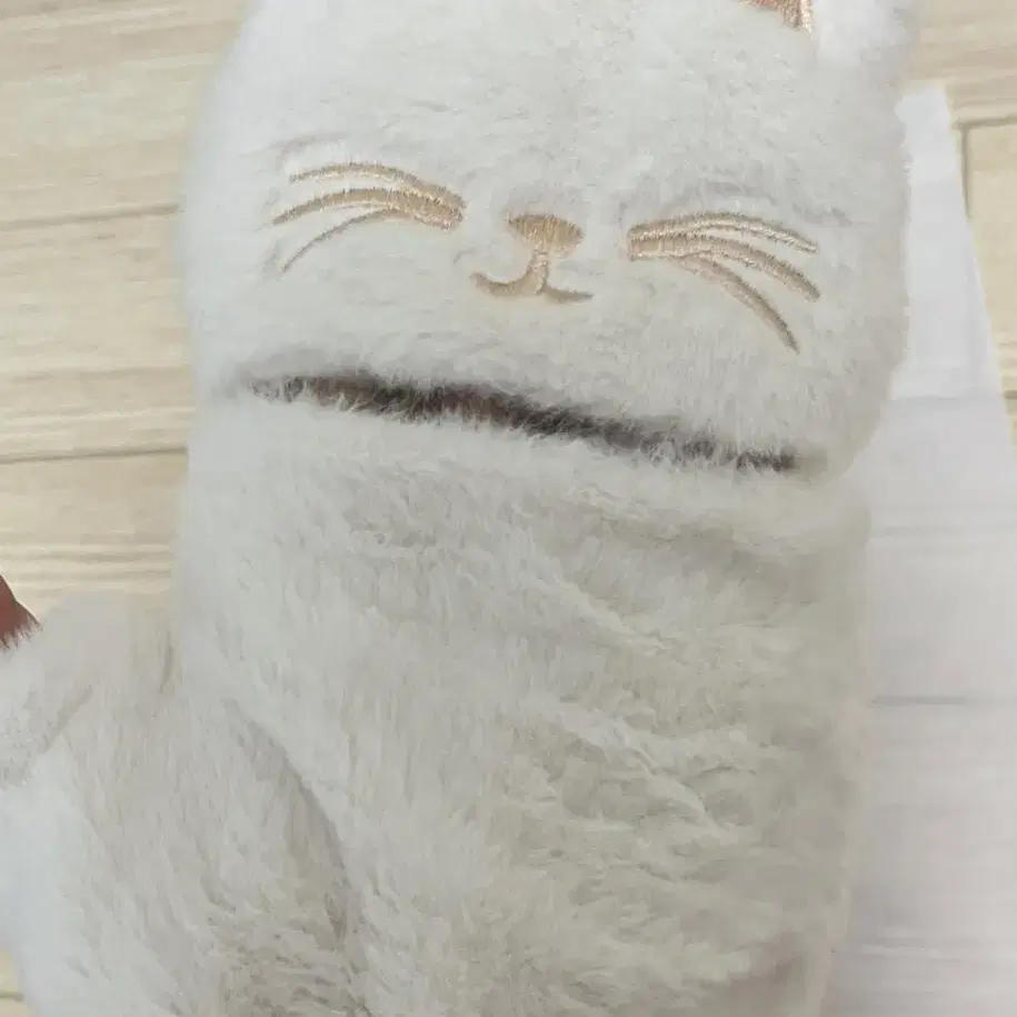 고양이 온열장갑