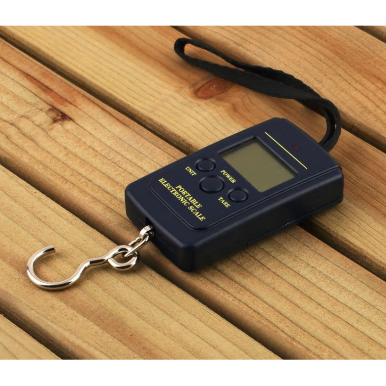 Portable Digital Scale [Weightless] Fishing Electronic Weight Scale / Mini Travel Scale