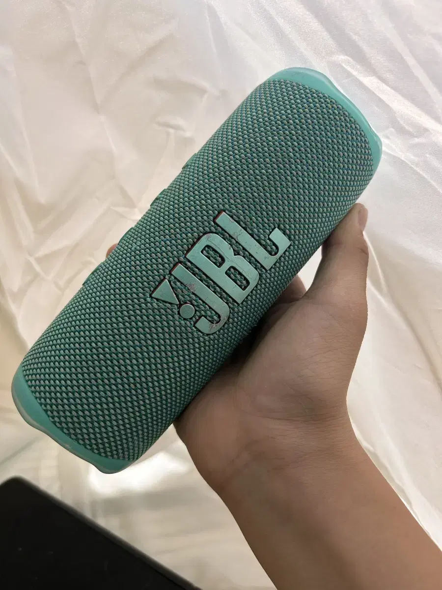 JBL flip6 급처