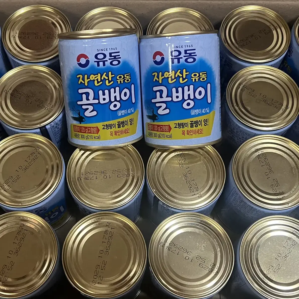 무료배송) 유동 골뱅이 300 g x 24캔 1박스 판매 합니다