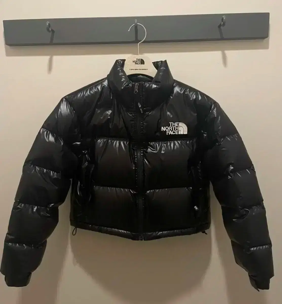 The North Face Nupsi Glossy Padding